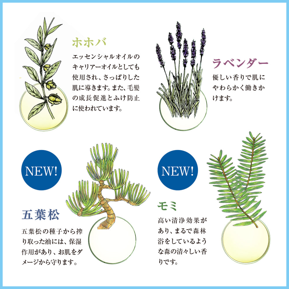 森の爽風(さわかぜ)ミスト 50mL / 150mL – アレラ(allera)公式サイト